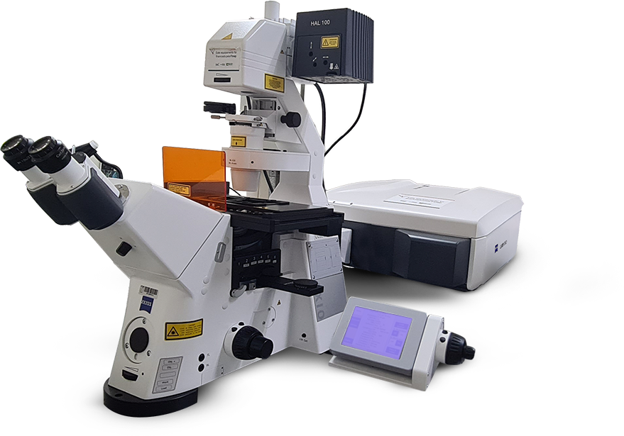 LSM 880