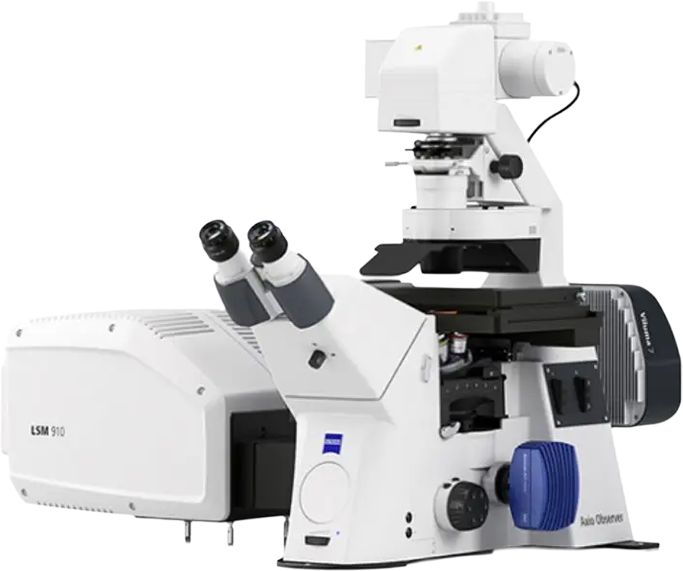 LSM 910 LIGHTFIELD COM VILUMA 9